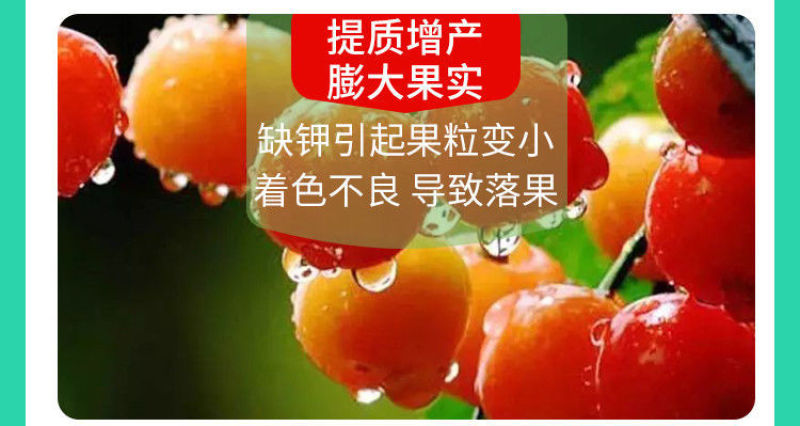 糖醇钾叶面肥液体有机钾肥膨果增甜转色瓜果通用高纯钾