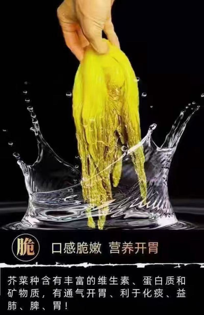 润农丰免切免洗开袋即食酸菜片厂家直销对接餐饮商超价格实惠