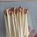 【精品花生芽】河北邢台基地直发质量上乘量大优惠全国发货