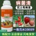 99病毒清杀菌剂条斑抗病毒灵蔬菜番茄花卉黄瓜辣椒专用微