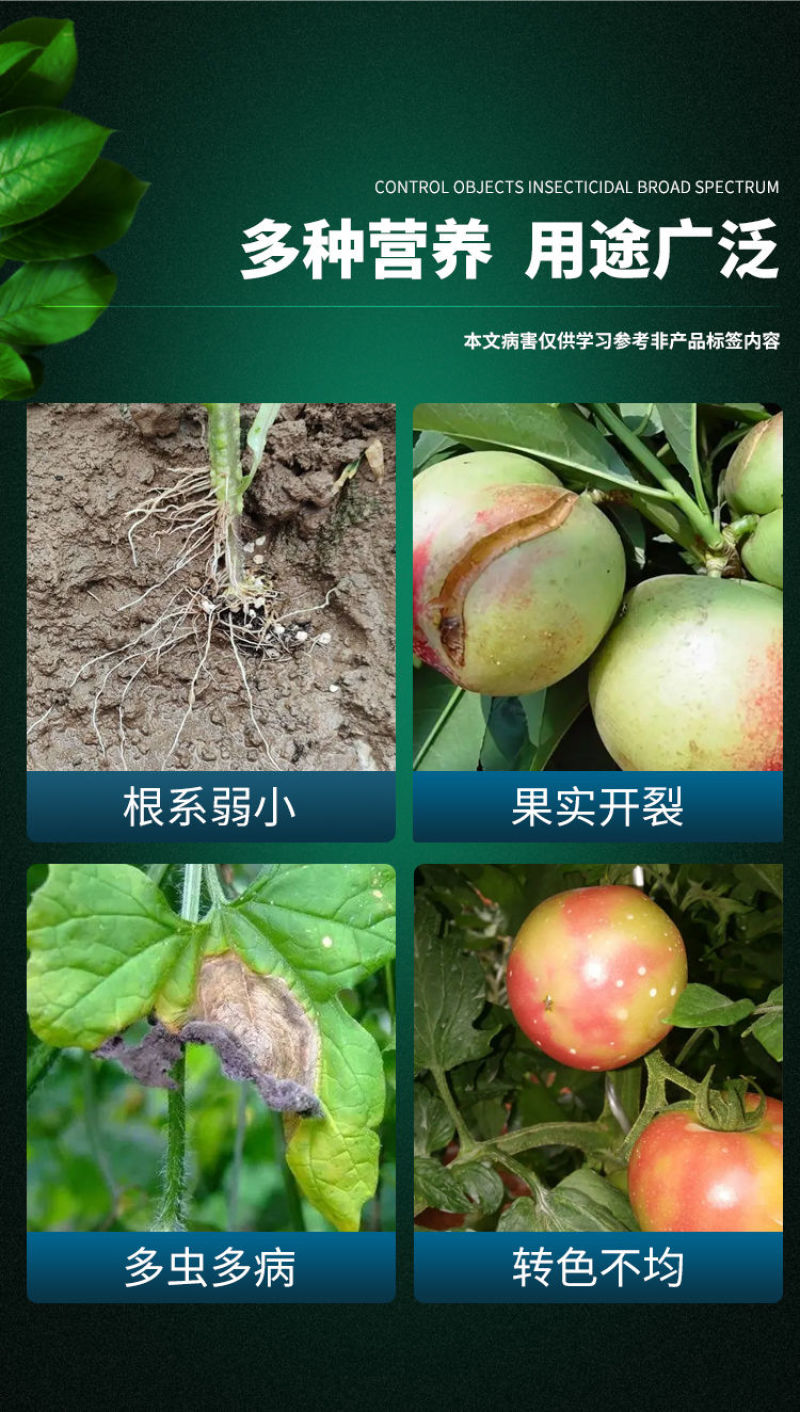 亚磷酸钾高磷钾果树蔬菜花卉膨果上色控梢控旺抗病通用营养叶