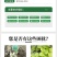 钙镁硼锌铁锰促花保果绿叶美果防裂增重中量元素水溶肥料