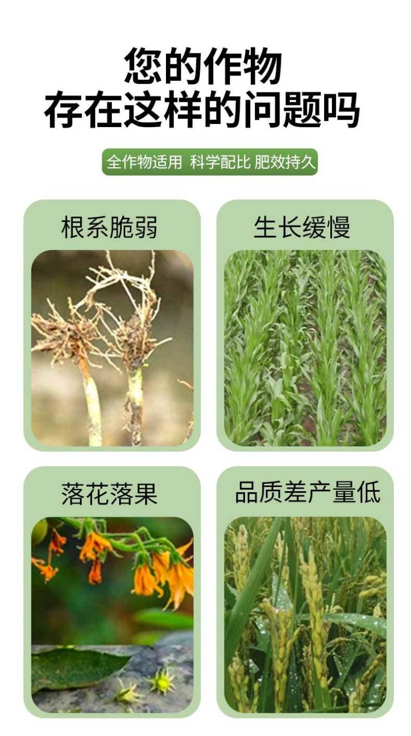 小麦水稻灌浆增产肥催熟早收快熟宝授粉快速粒粒饱满蔬菜果树