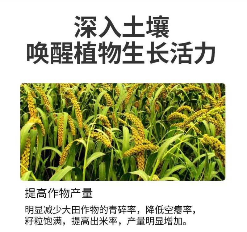小麦水稻灌浆增产肥催熟早收快熟宝授粉快速粒粒饱满蔬菜果树