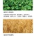 小麦水稻灌浆增产肥催熟早收快熟宝授粉快速粒粒饱满蔬菜果树