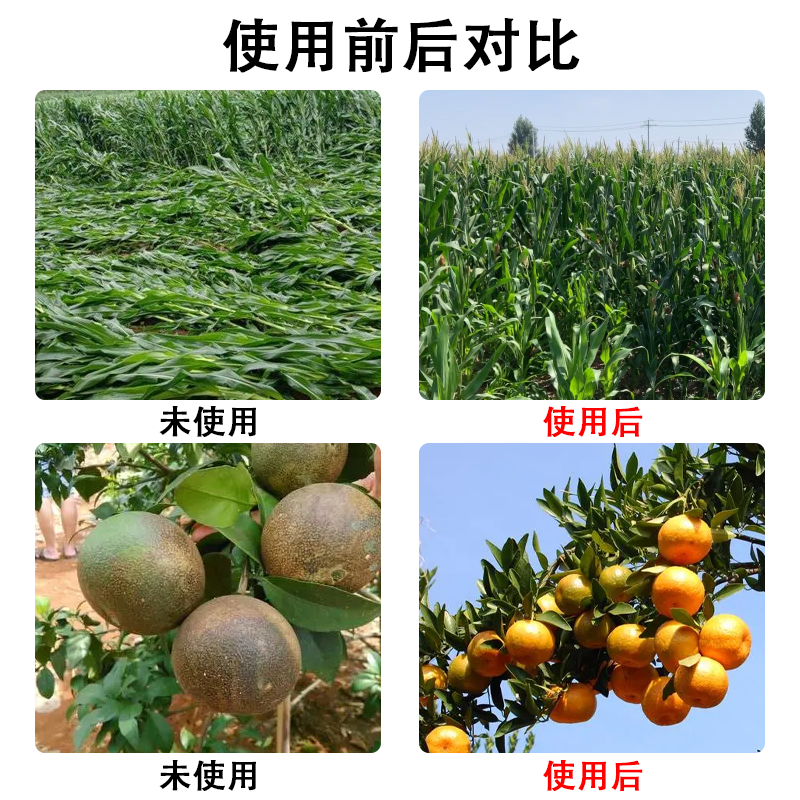 水稻抗倒伏中性流体硅肥增效液体硅肥叶面肥水稻果树蔬菜大田