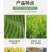 水稻抗倒伏中性流体硅肥增效液体硅肥叶面肥水稻果树蔬菜大田