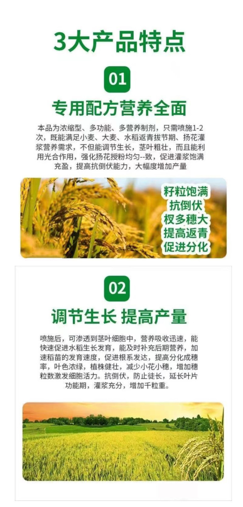 水稻抗倒伏中性流体硅肥增效液体硅肥叶面肥水稻果树蔬菜大田
