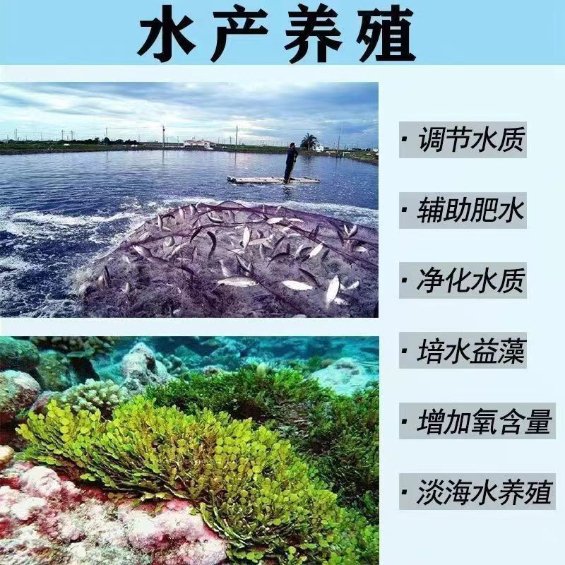 正品氯化钾白钾原装水产养殖养虾果蔬用肥高钾25公斤包邮