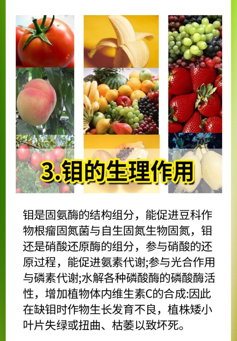 钼硼锌豆类花生专用叶面肥豆角大豆蚕豆绿豆豇豆提质膨大增
