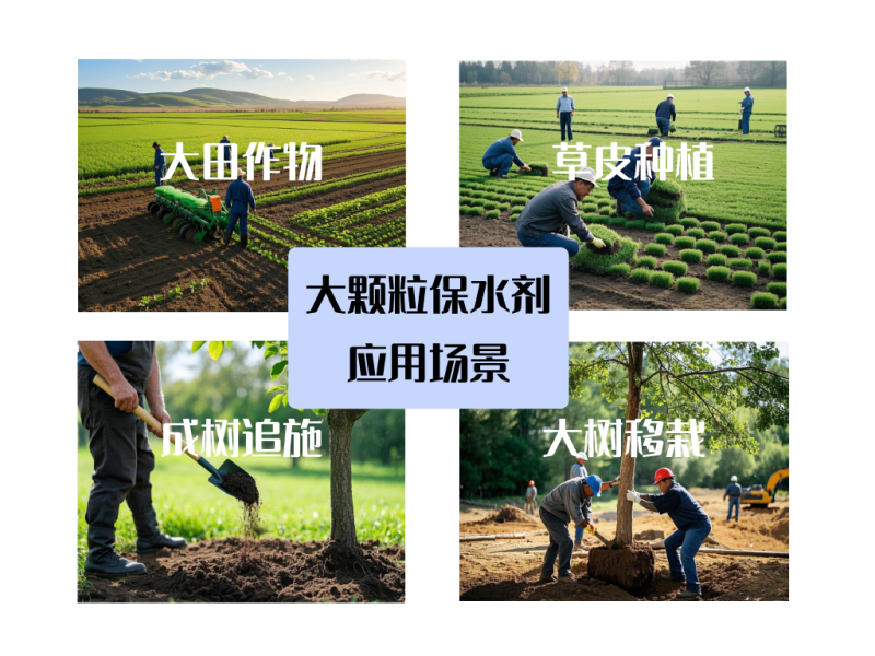 维芊大颗粒保水剂，农林用保水剂，土壤调理剂，环保纯钾盐