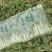 湖北白菜苔红菜苔产地直发规格齐全菜苔源头供应价格美丽