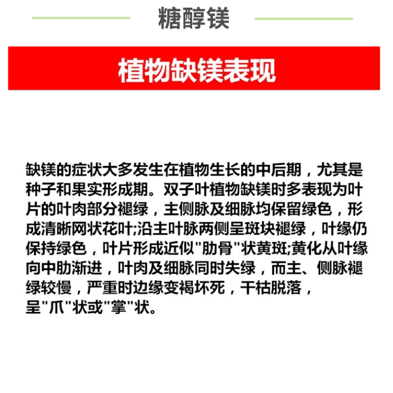 糖醇镁EDTA螯合镁肥微量元素镁糖醇螯合水溶叶面肥绿叶防