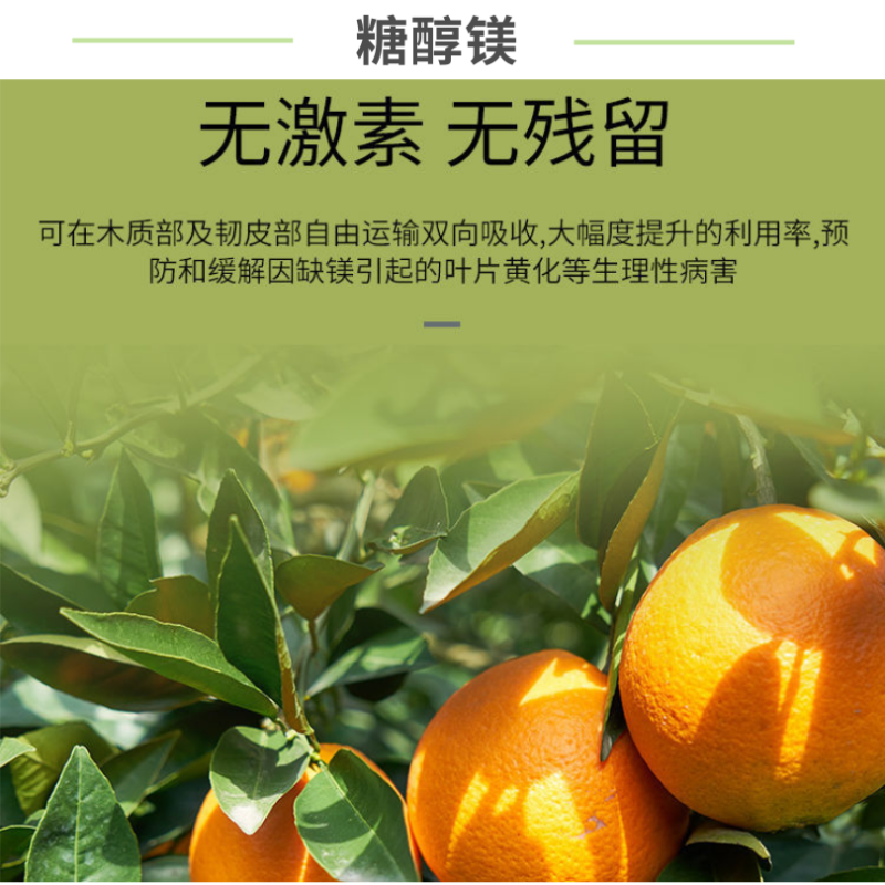 糖醇镁EDTA螯合镁肥微量元素镁糖醇螯合水溶叶面肥绿叶防