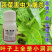20%联苯噻虫胺甘蓝黄条跳甲