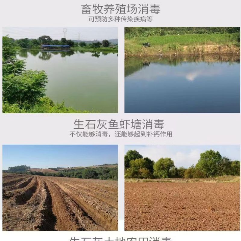 氧化钙颗粒高纯度生石灰块水产养殖鱼虾蟹清塘干燥剂厂家直销