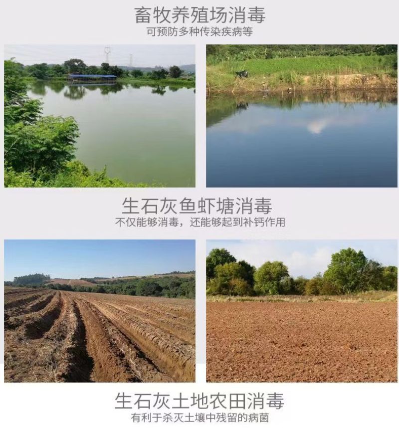 氧化钙颗粒高纯度生石灰块水产养殖鱼虾蟹清塘干燥剂厂家直销