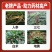 中药材专用叶面肥人参当归太子参重楼三七黄精根茎地下猛长膨