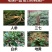 中药材专用叶面肥人参当归太子参重楼三七黄精根茎地下猛长膨