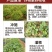 中药材专用叶面肥人参当归太子参重楼三七黄精根茎地下猛长膨