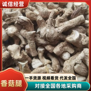 香菇腿产地直供大量有货品质保证服务周到