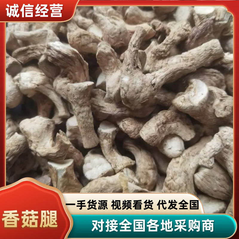 香菇腿产地直供大量有货品质保证服务周到