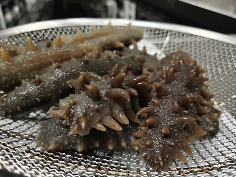 鲜食海参，活体海参加工，参刺粗壮，肉质肥厚弹牙，艮啾啾