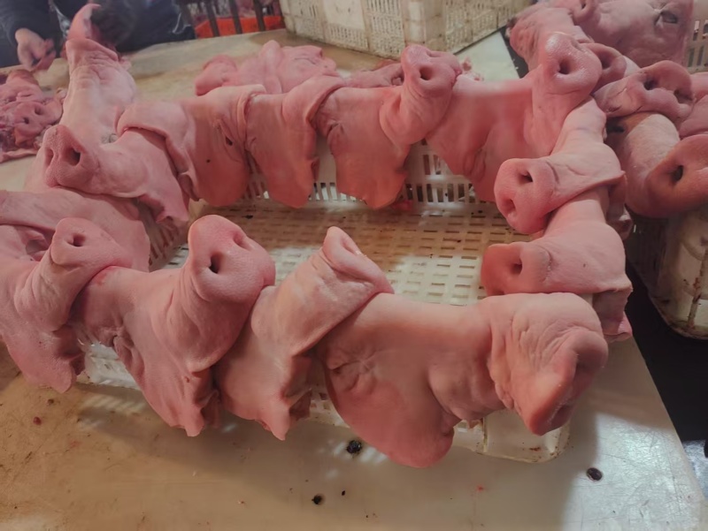 四川精品猪嘴鲜货厂家供货一手货源承接加工餐饮卤味店酒店
