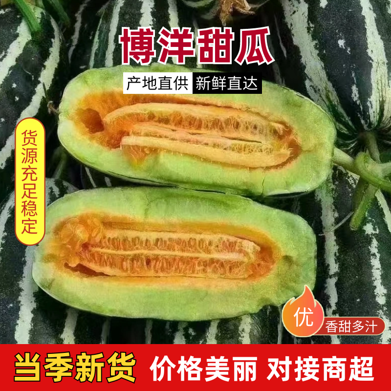 博洋甜瓜，产地一手货源，一件代发，对接市场档口，电商平台