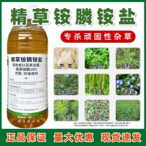 10%精草铵膦铵盐精草铵膦荒地灭生性除草剂非耕地杀草药农