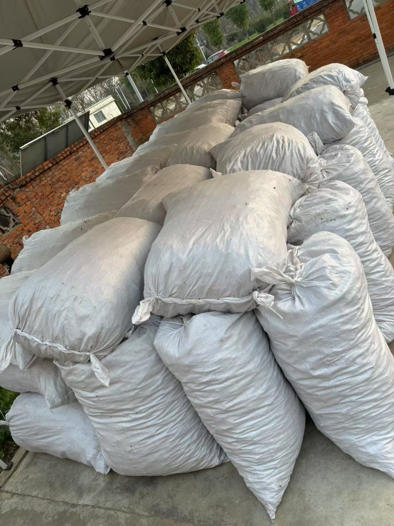 【精选】纯野生麦冬，精品货，量大从优，价格优惠！可批发可