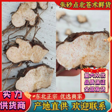 【优选商家】北苍术，朱砂点鲜货，质量优，品种好，货源充足