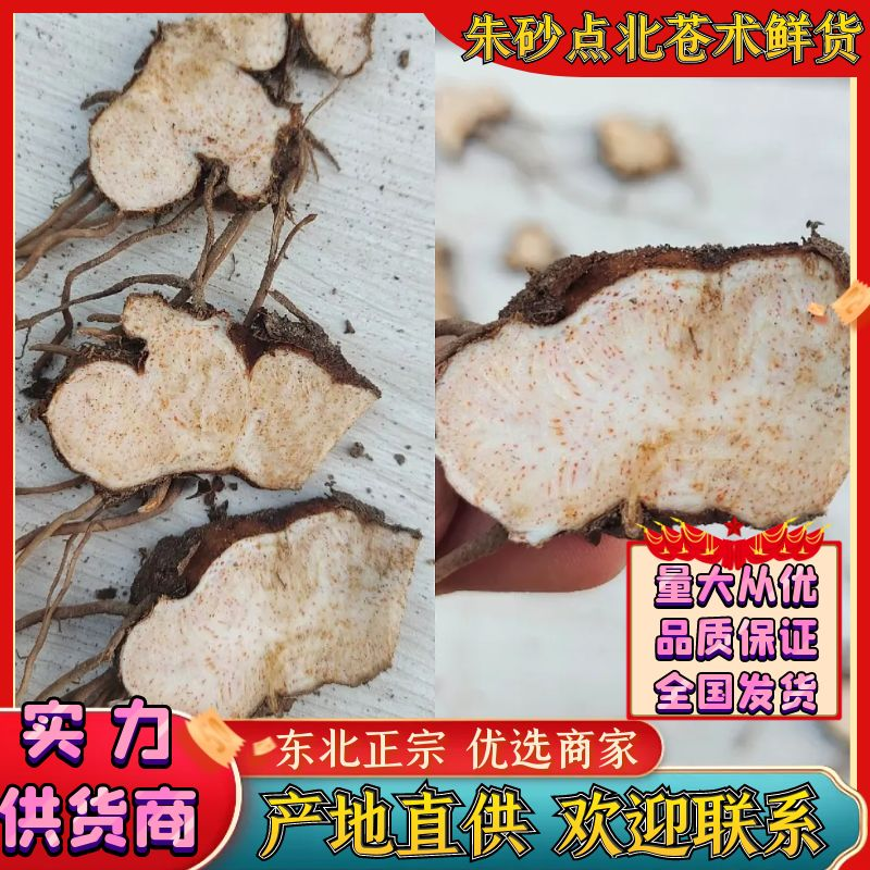 【优选商家】北苍术，朱砂点鲜货，质量优，品种好，货源充足