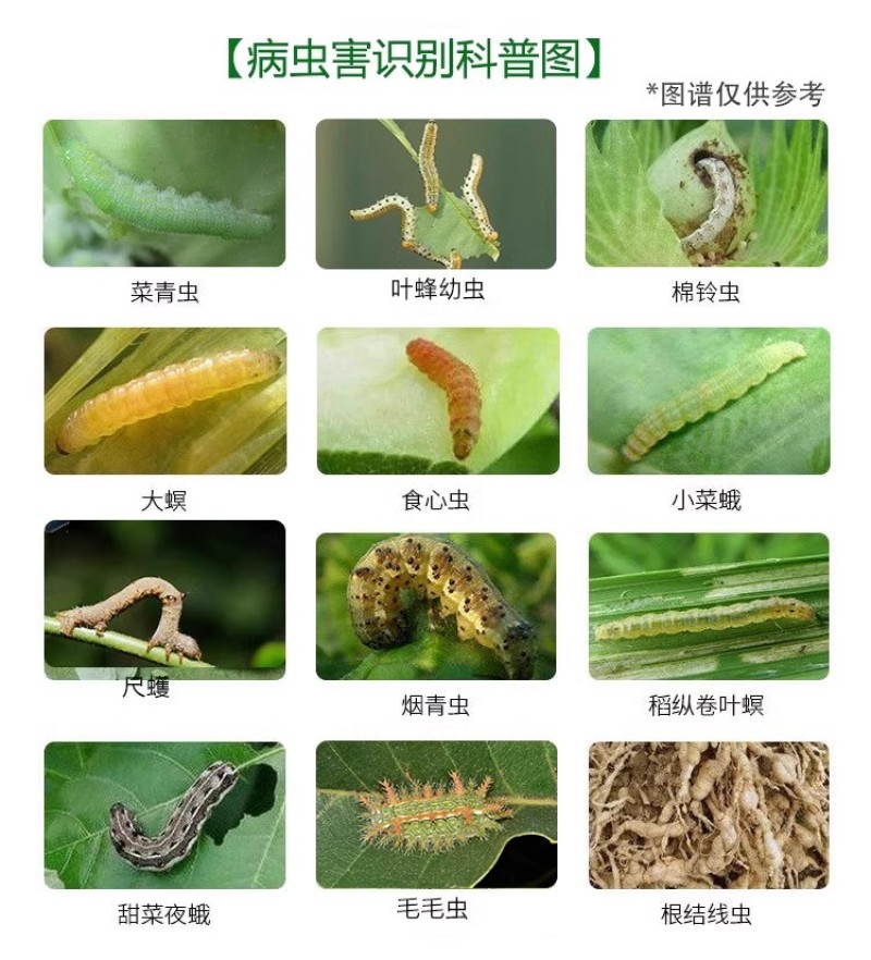 1.8%阿维菌素蔬菜果树菜青虫阿维茵素啊维菌素打虫农药