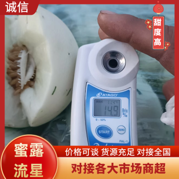 山东甜瓜蜜露流星，一手货源，棚内吊瓜，糖度16以上
