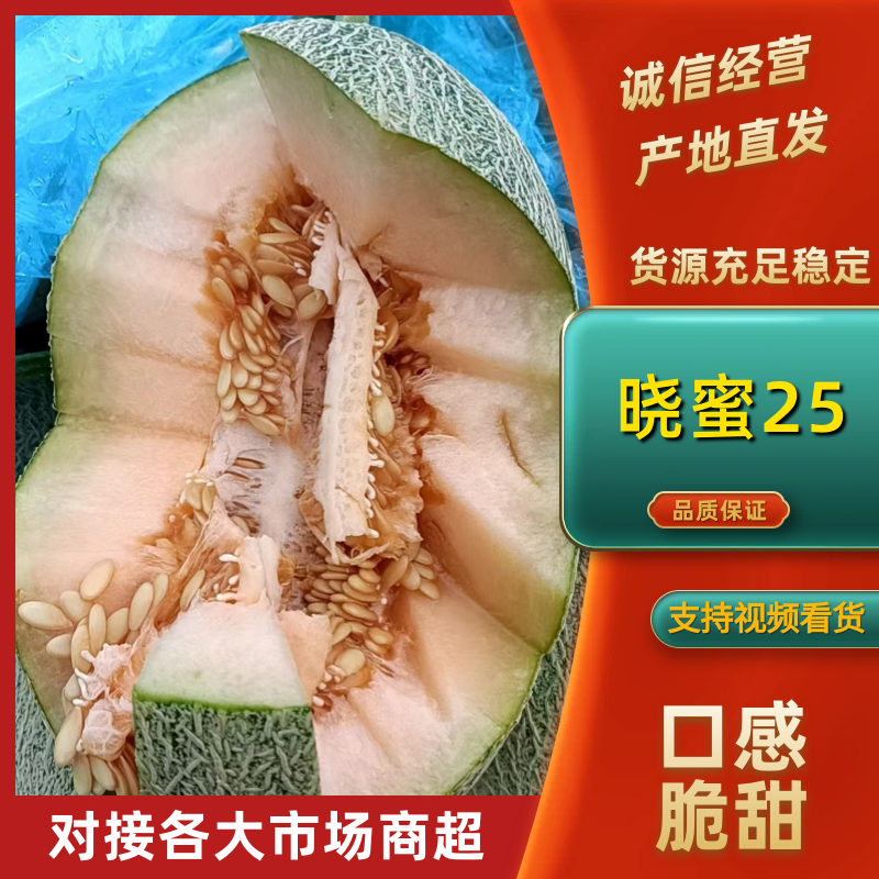 晓蜜25号哈密瓜西州蜜上市中，纹路好，糖度十五以上