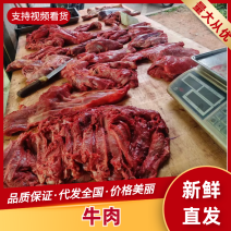 牛肉黄牛肉正宗放养牛肉品质保证量大从优欢迎咨询