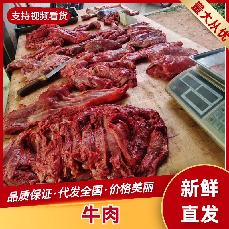 牛肉黄牛肉正宗放养牛肉品质保证量大从优欢迎咨询