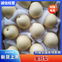 【推荐】河北皇冠梨产地直供走货快质量保证全国发货