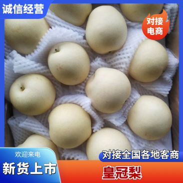【推荐】河北皇冠梨产地直供走货快质量保证全国发货