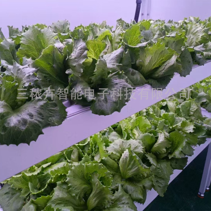 T20-LED植物生长灯