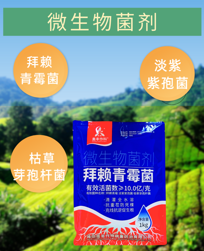 奥丰拜赖青霉菌促根壮苗抗重茬预防死棵病害改良土壤