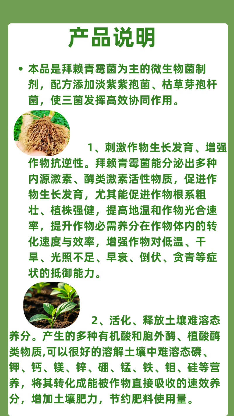 奥丰拜赖青霉菌促根壮苗抗重茬预防死棵病害改良土壤