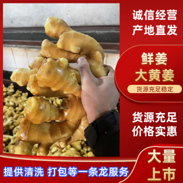 优选大黄姜水洗姜风干姜鲜姜一手货源全国发货