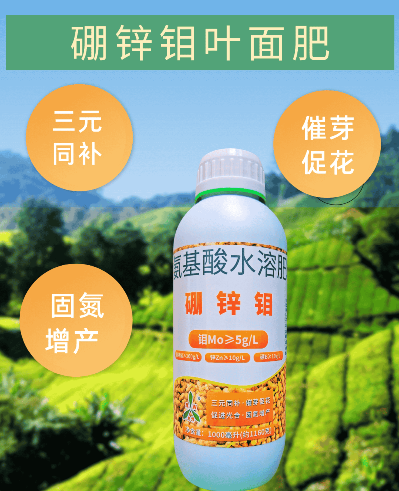 奥丰硼锌钼微量元素催芽促花提高光合促进增产