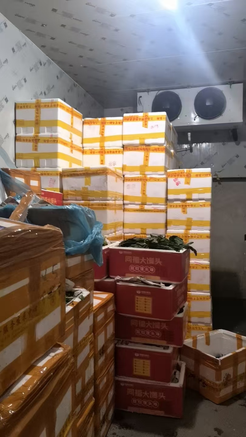 上海薄皮椒批发全国可发整车发货欢迎选购咨询