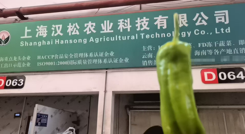 上海薄皮椒批发全国可发整车发货欢迎选购咨询