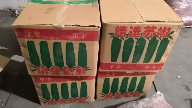 薄皮椒新鲜辣椒批发精品货次等货都有产地直发
