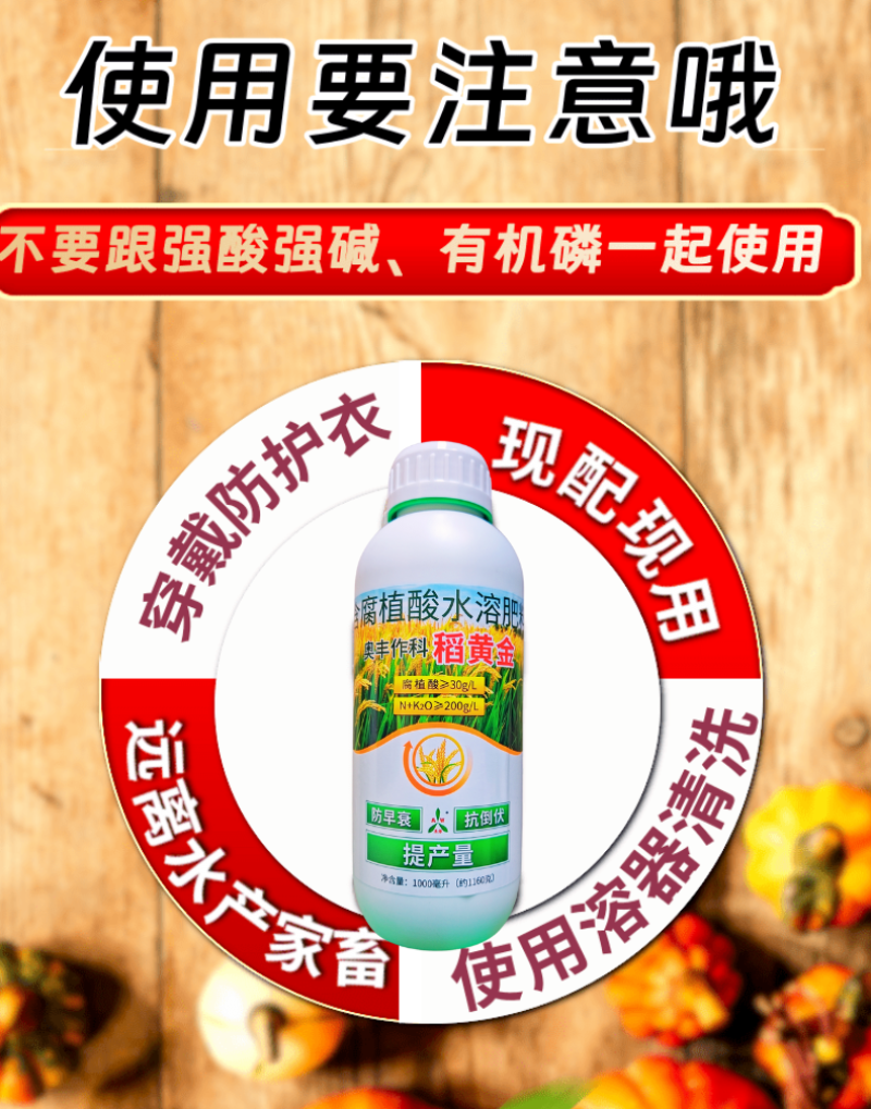 稻黄金水稻抗倒伏促分蘖籽粒饱满增加粒重提高产量