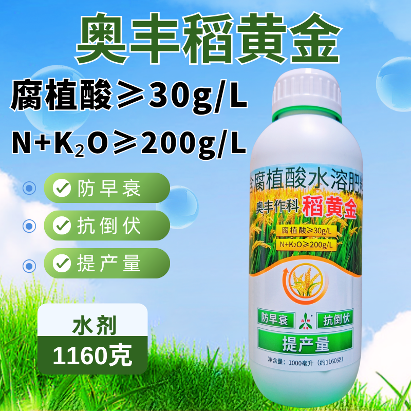 稻黄金水稻抗倒伏促分蘖籽粒饱满增加粒重提高产量